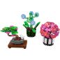 Preview: 24116 | Tiny Plants 3