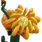 Preview: 24118 | Chrysanthemum