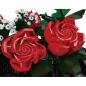 Preview: 24130 | Emerald Leaf Rose