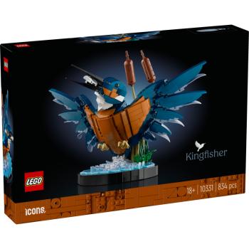 10331 | Kingfisher Bird