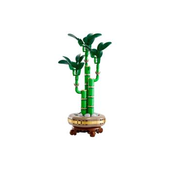 10344 | Lucky Bamboo
