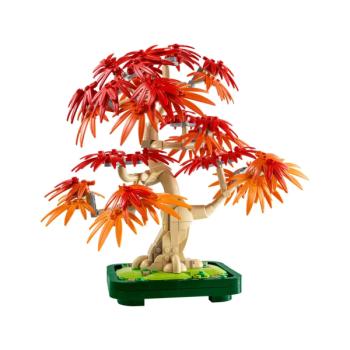 Preview: 10348 | Japanese Red Maple Bonsai Tree