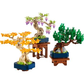 Preview: 10373 | Mini Bonsai Trees