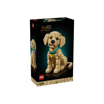 11384 | Golden Retriever Puppy