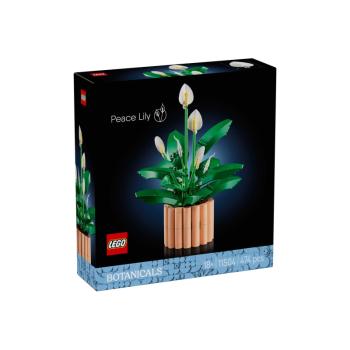 11504 | Potted Peace Lily