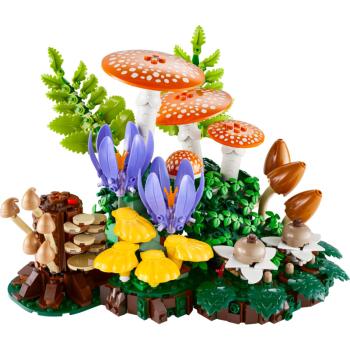 Preview: 11505 | Woodland Mushrooms