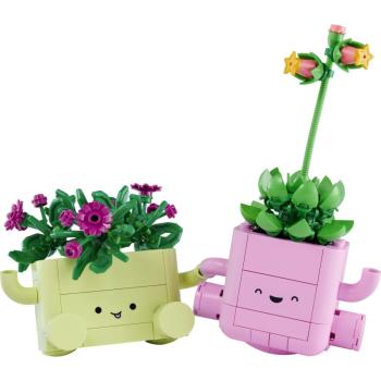 Preview: 11506 | Rocking Plants