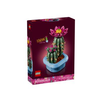 11509 | Blooming Cactus in a Pot