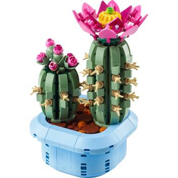 Preview: 11509 | Blooming Cactus in a Pot