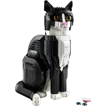 21349 | Tuxedo Cat