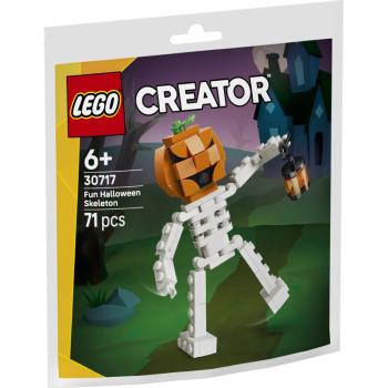 30717 | Fun Halloween Skeleton (Paper Bag)