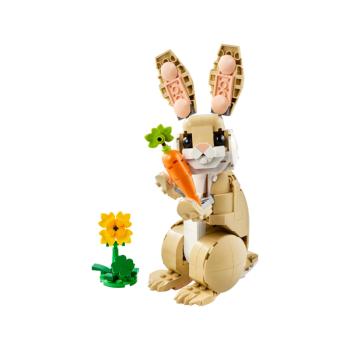 31162 | Cute Bunny