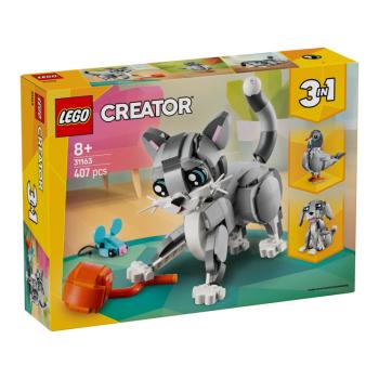 31163 | Playful Cat