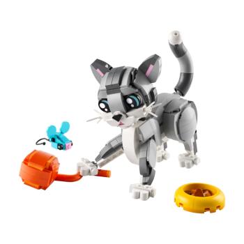 31163 | Playful Cat