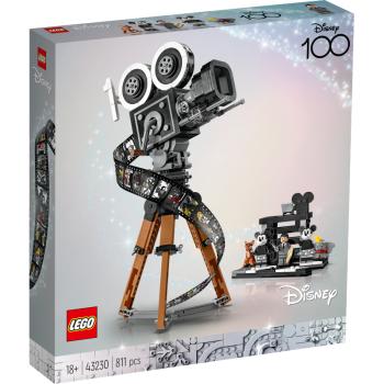 43230 | Walt Disney Tribute Camera
