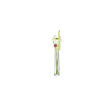 L.S.A. | G924-45-301 | Stems Vase 44,5cm