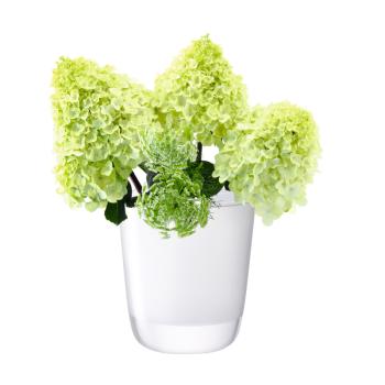 L.S.A. | G775-18-391 | Otto Vase H 18 cm