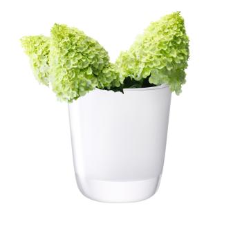 L.S.A. | G775-27-391 | Otto Vase H 27 cm
