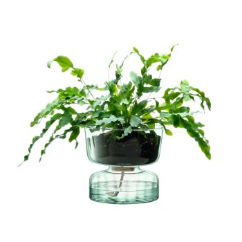 L.S.A. | G1579-22-161 | Canopy Self Watering Planter Vase 22cm
