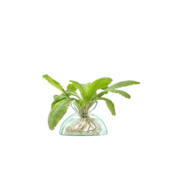 L.S.A. | G1584-09-161 | Canopy Vase 9.5cm