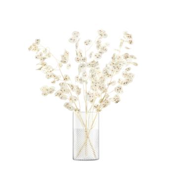 L.S.A. | G1645-25-148 | Wicker Vase / Lantern 25 cm