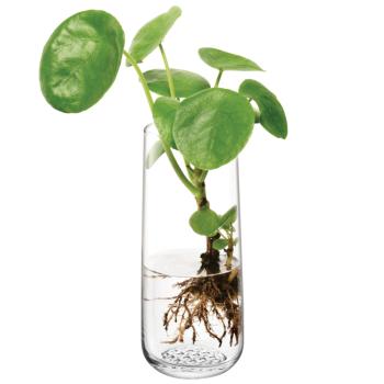 L.S.A. | G1672-17-139 | Market Bud Vase H17,5 cm Clear
