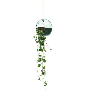L.S.A. | G1696-12-161 | Canopy Hanging Planter ø 12 cmRecycled