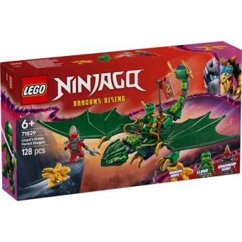 71829 | Lloyd's Green Forest Dragon