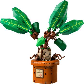 76433 | Mandrake