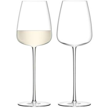 LSA | G1427-25-191 | Wine Culture White Wine 690ml Set Of 2 Pieces