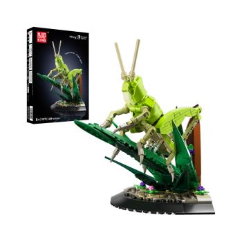 10175 | Grasshopper
