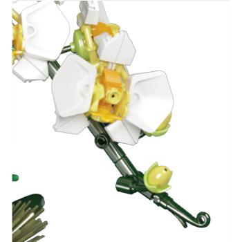 Preview: 24108 | Orchid