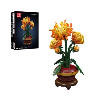 24118 | Chrysanthemum