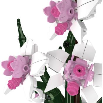 Preview: 24119S | Orchid
