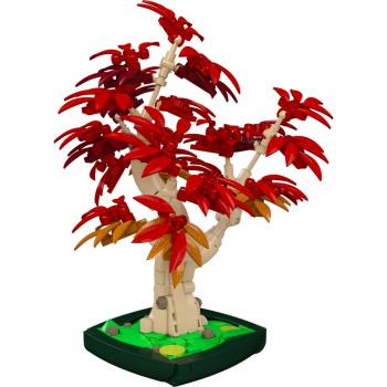 Preview: 24122 | Red Maple Bonsai