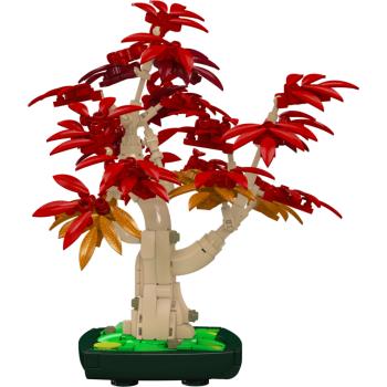Preview: 24122 | Red Maple Bonsai