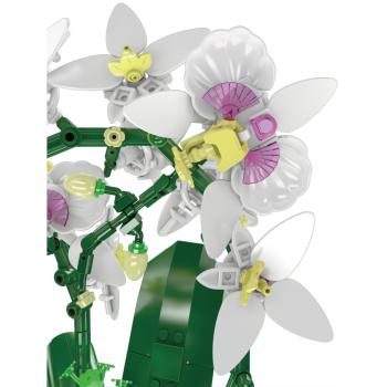 Preview: 24123 | White Butterfly Orchid