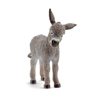13746 | Donkey Foal