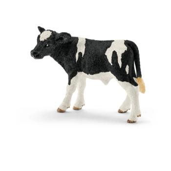 13798 | Holstein Calf