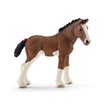 13810 | Clydesdale Foal