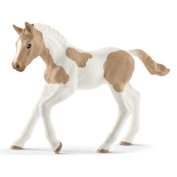 13886 | Paint Horse Foal