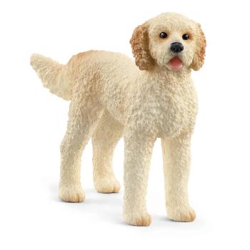 13939 | Goldendoodle
