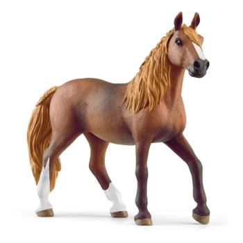 13953 | Peruvian Paso Mare