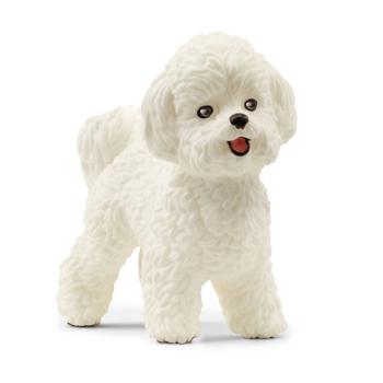 13963 | Bichon Frise