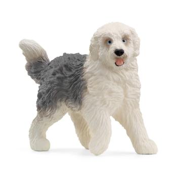 13968 | Old English Sheepdog