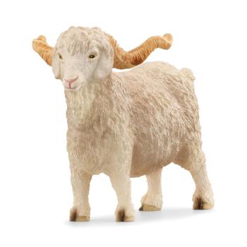 13970 | Angora Goat