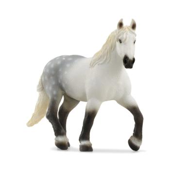 13971 | Percheron Mare