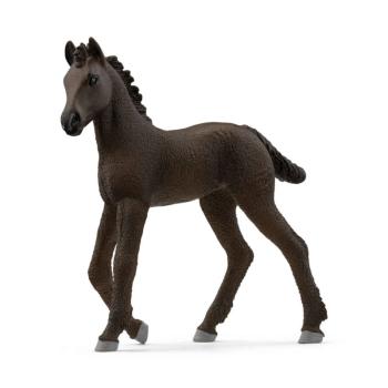 13977 | Friesian Foal