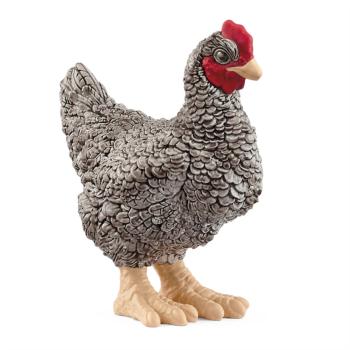 13997 | Plymouth Rock Chicken