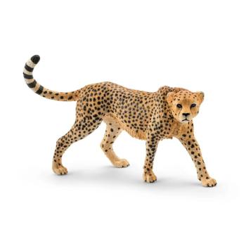 14746 | Cheetah